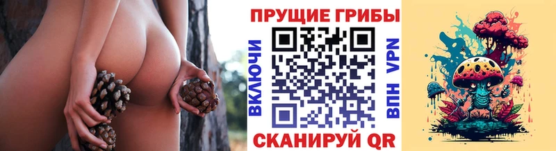 купить наркотик  Тара  Псилоцибиновые грибы Psilocybine cubensis 