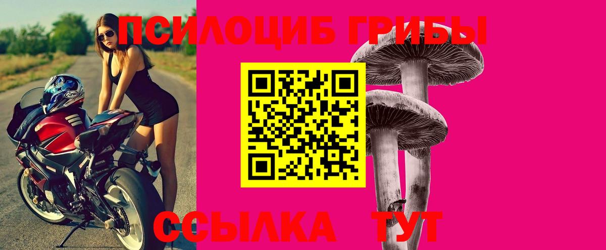 Галлюциногенные грибы Magic Shrooms  Псилоцибиновые грибы мухоморы  Тара  Вход с VPN 