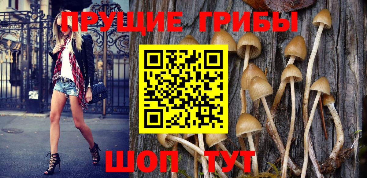 Галлюциногенные грибы MAGIC MUSHROOMS Тара