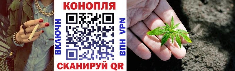 Шишки марихуана SATIVA & INDICA купить наркотик Тара