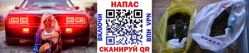 МАРИХУАНА семена Тара
