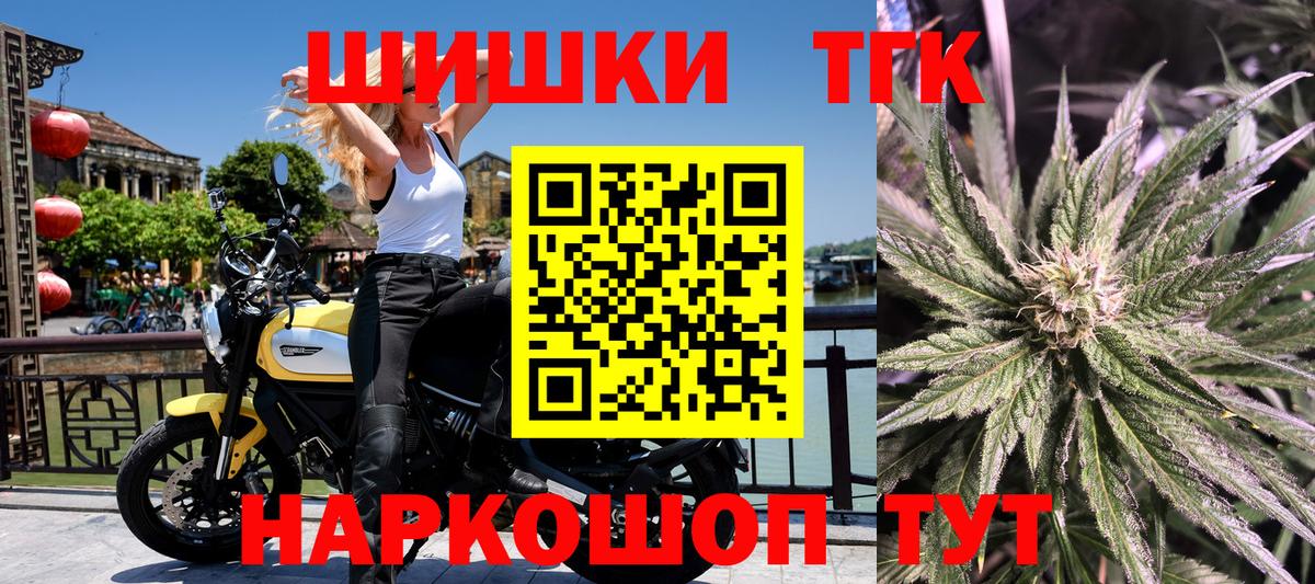 Каннабис планчик  Бошки марихуана конопля  Тара  Вход с VPN  Бошки Шишки конопля 